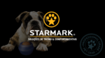 Starmark Everlasting Fire Plug - Image 2