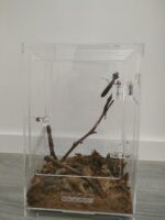 Terrario Made for Pets - Image 6