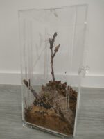 Terrario Made for Pets - Image 2
