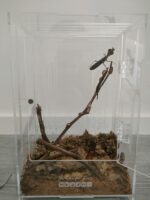 Terrario Made for Pets