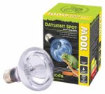 Lâmpada Neodymium Daylight – Komodo