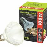 Lâmpada Halogen Spot – Komodo
