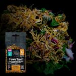 Arcadia Flower Booster - Image 3