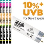 Arcadia Lâmpada T8 UVB Desert 10.0%