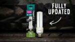 Arcadia 7% D3 Compact Bulb - Image 2