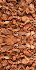 Aparas Coco – Repti Planet - Image 2