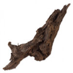 Madeira DriftWood – Repti Planet - Image 3