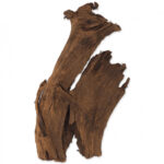 Madeira DriftWood – Repti Planet - Image 2