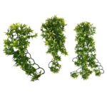 Decoração Croton Plant – Komodo