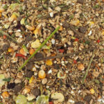 NatureLand Complete – Dwarf Hamsters - Image 2