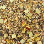 NatureLand Complete – Ratos & Ratazanas - Image 2